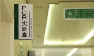 PCR