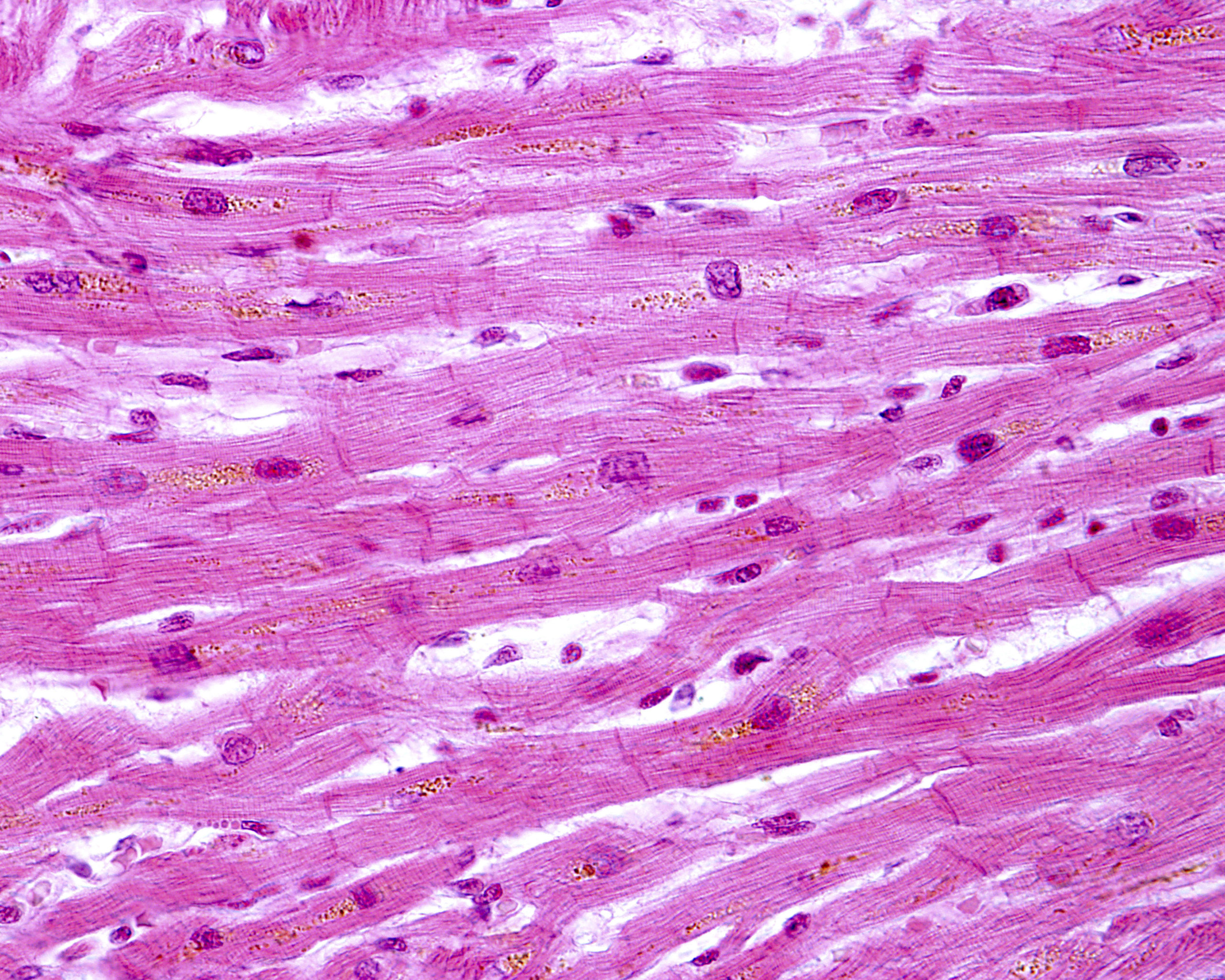 Contractility-banner-scaled Contractility-banner-scaled